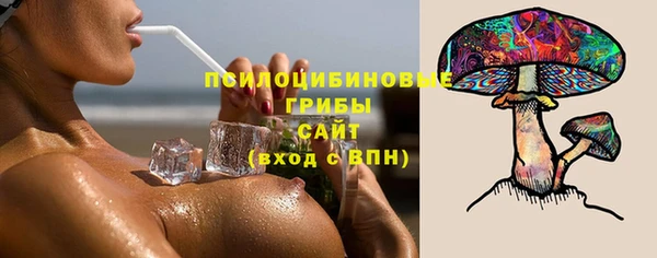 мдпв Бугульма