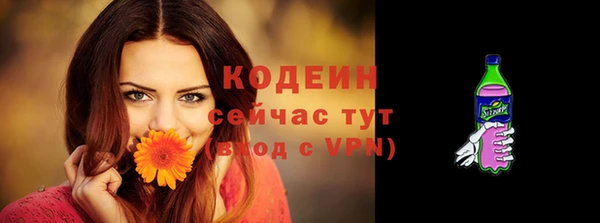 стаф Бронницы