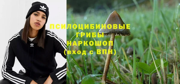 стаф Бронницы