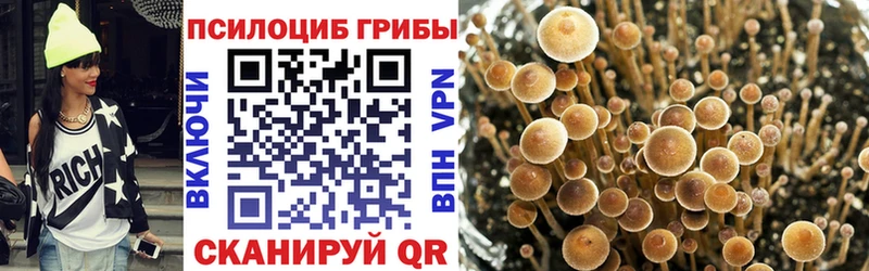 купить   Муром  Псилоцибиновые грибы MAGIC MUSHROOMS 